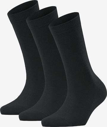 Chaussettes FALKE en noir : devant