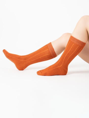 HomeOfSocks Socks 'HOS218' in Orange