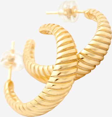 Boucles d'oreilles 'Olea' EDITED en or