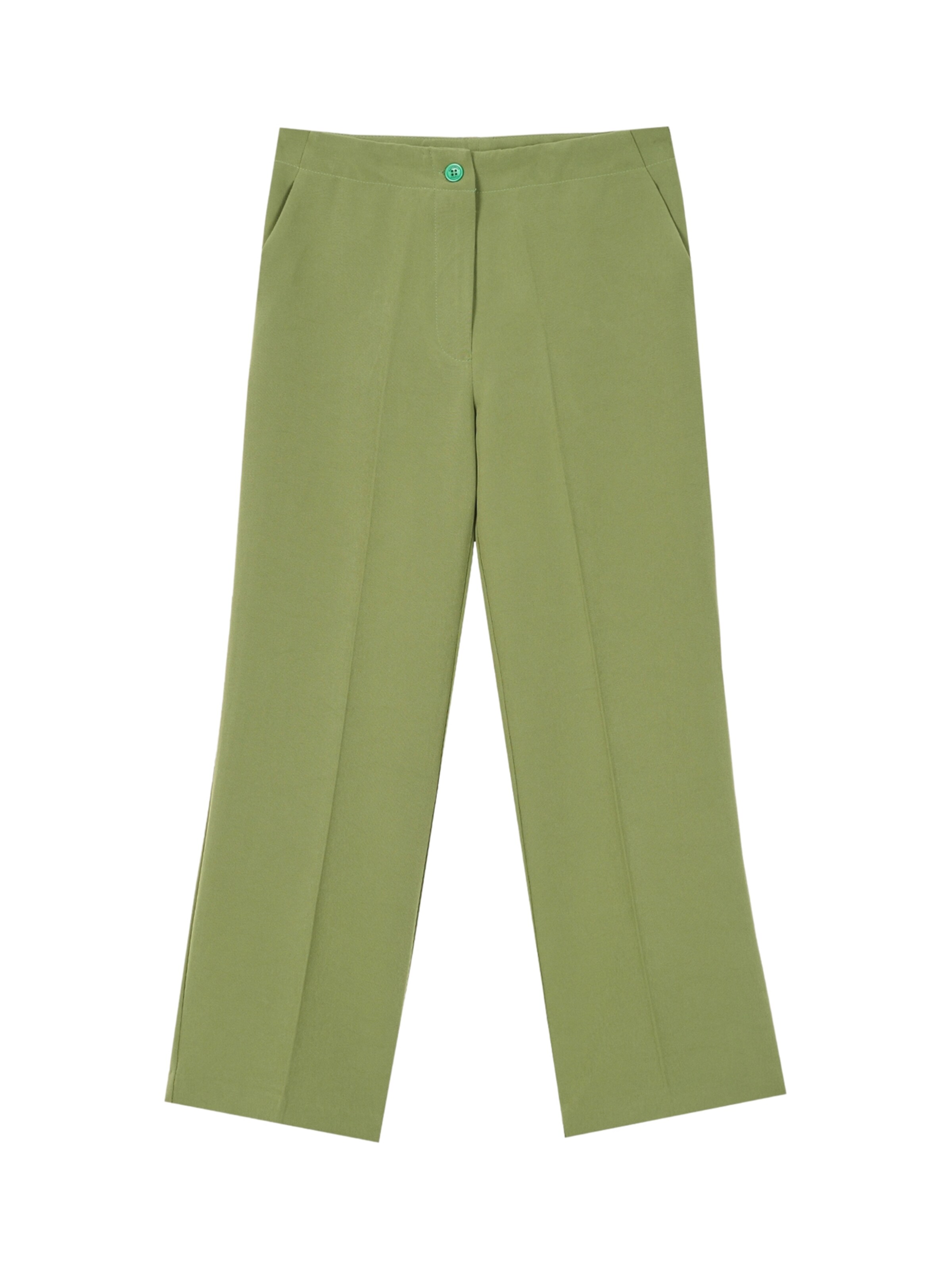 regular Pantaloni con pieghe 'Sarae' di Camomilla Italia in verde: frontale