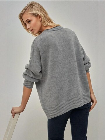 Hiccup Pullover in Grau