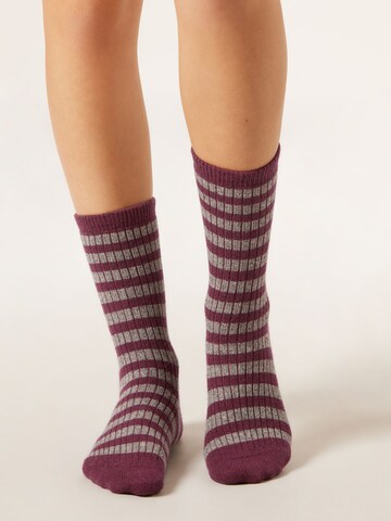 CALZEDONIA Socken in Grau: Vorderseite