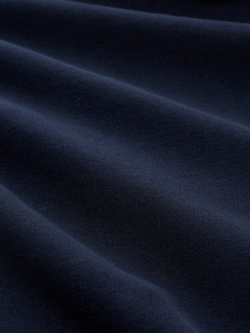 TOM TAILOR DENIM Loose fit Pants in Blue