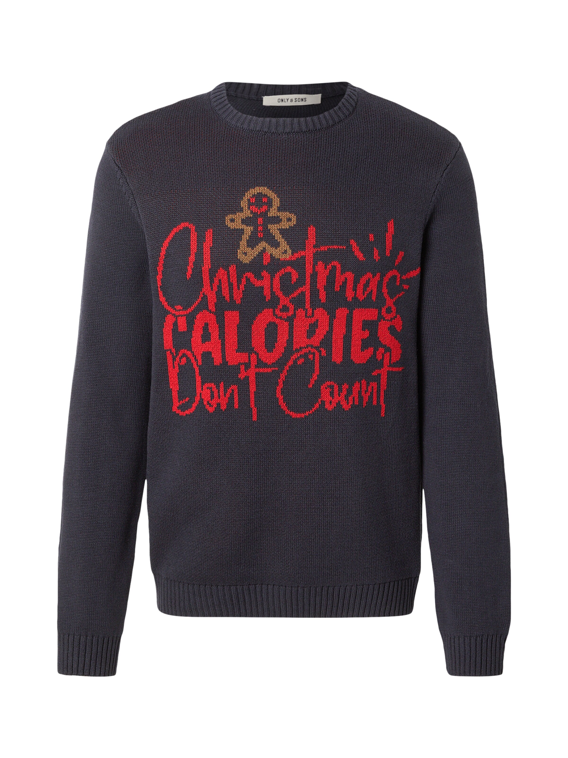 zils Only & Sons Džemperis 'ONSX-MAX': no priekšpuses