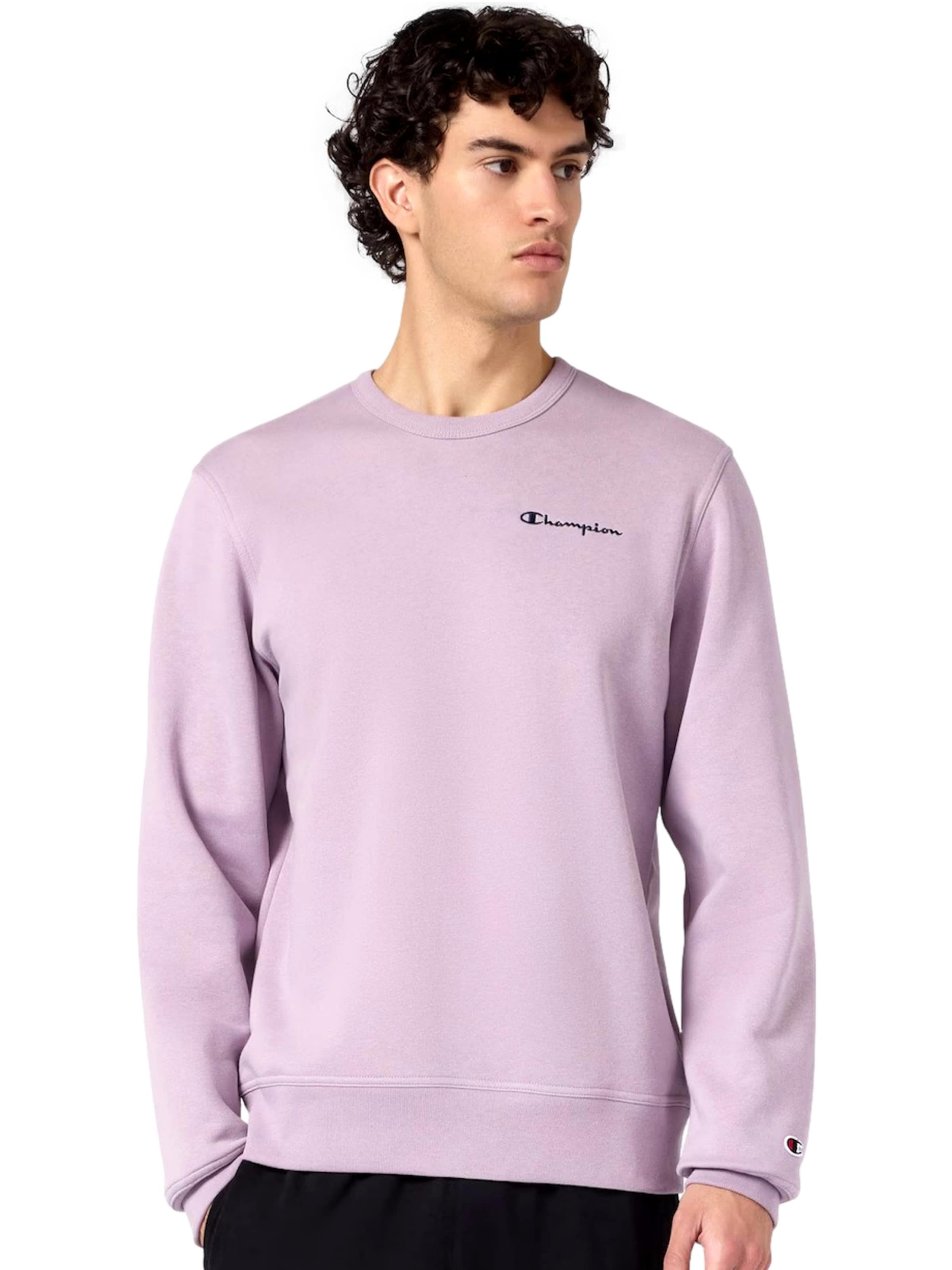 Champion Authentic Athletic Apparel Sweatshirt in Purple: front