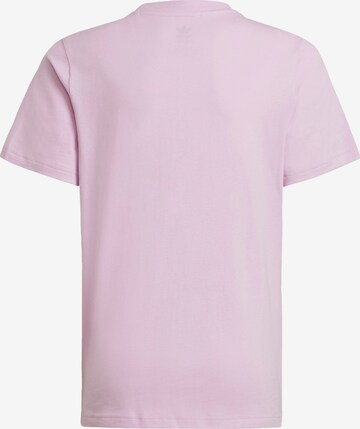 ADIDAS ORIGINALS T-Shirt 'Adicolor' in Lila