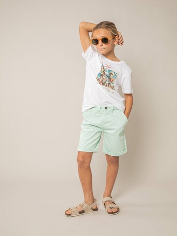 Regular Pantalon Deeluxe en vert