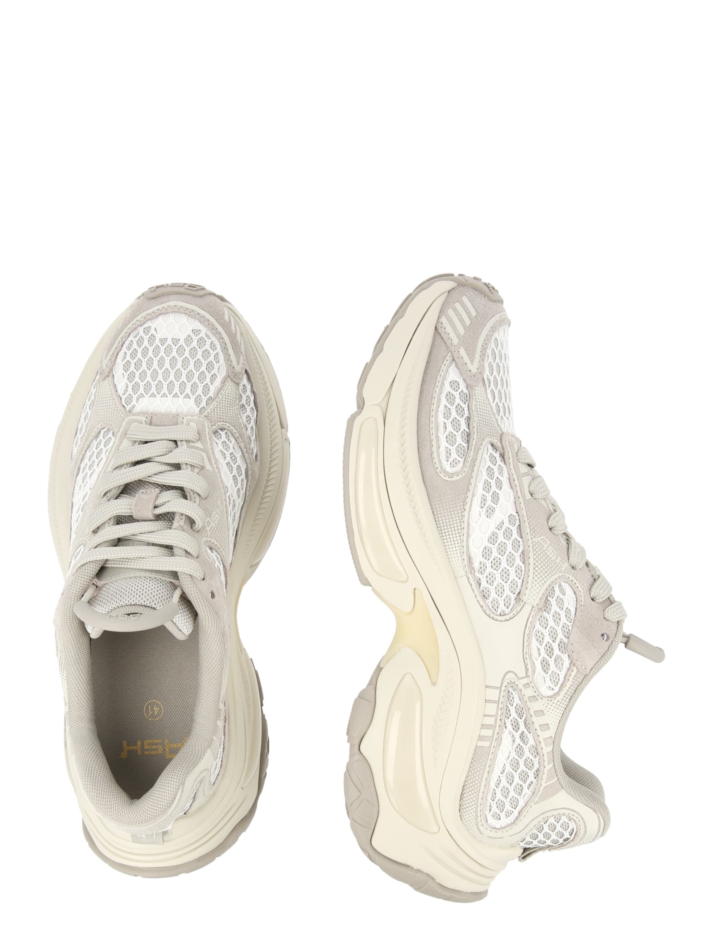 ASH Rövid szárú sportcipők 'Dragon 01' - szürke