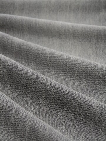 TOM TAILOR DENIM Regular Jeans in Grey