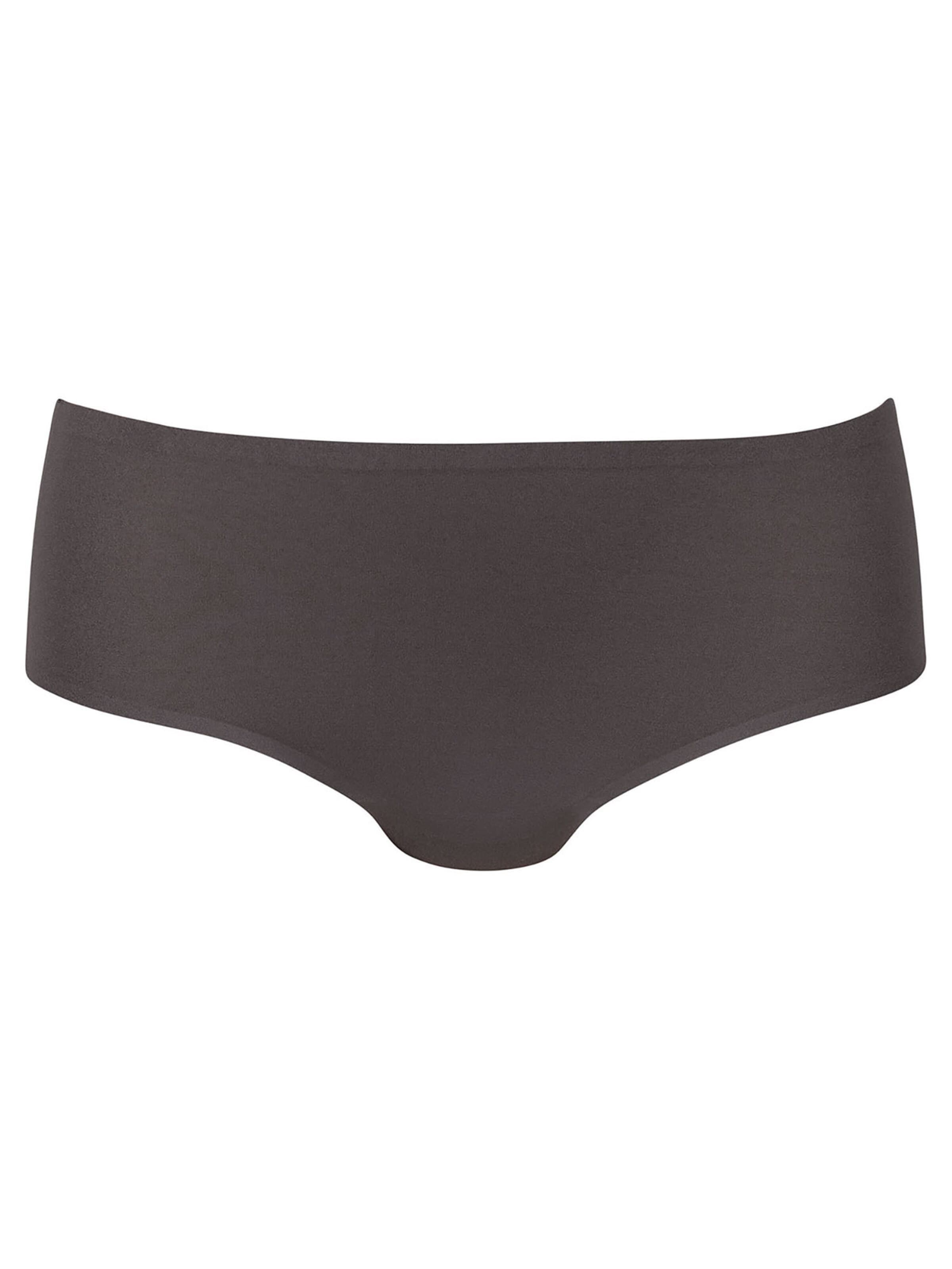 ANITA Panty 'essentials'‌‌‌‌‌‌‌ in Grau: Vorderseite