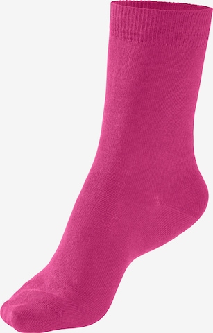 H.I.S Socks in Mixed colors