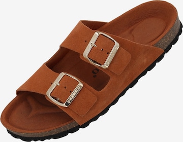 Palado Pantolette 'Palado Korfu Mono' in Braun: Vorderseite