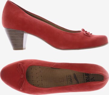 CAPRICE High Heels & Pumps in 39 in Red: front
