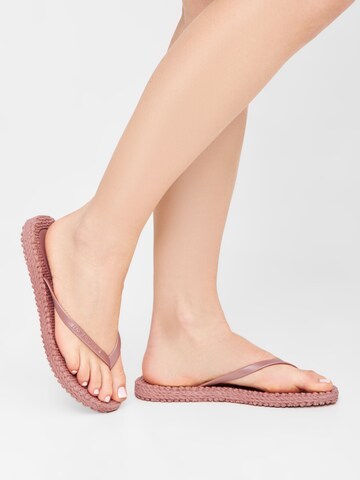 ILSE JACOBSEN T-Bar Sandals 'CHEERFUL02' in Pink