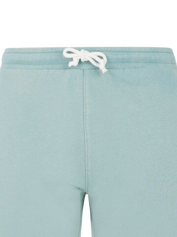 PROTEST Hose 'PRTTedor' in Grün: Vorderseite