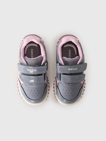 Baskets GEOX en gris