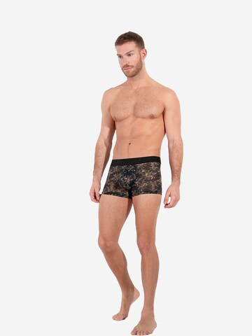 Boxers ' Ilraty ' HOM en beige