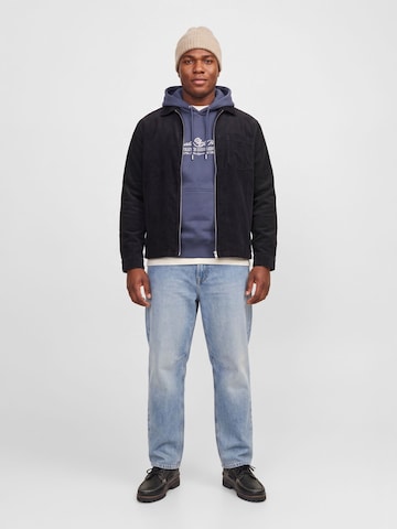 Felpa di JACK & JONES in grigio