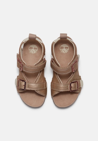 Sandales TIMBERLAND en bronze