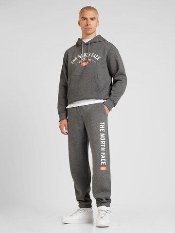 THE NORTH FACE Loosefit Sporthose 'Varsity Graphic Joggers' in Grau