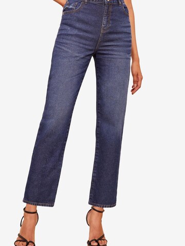 Friends Like These Regular Jeans in Blue: front