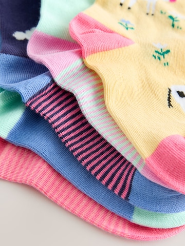 Next Socks in Blue