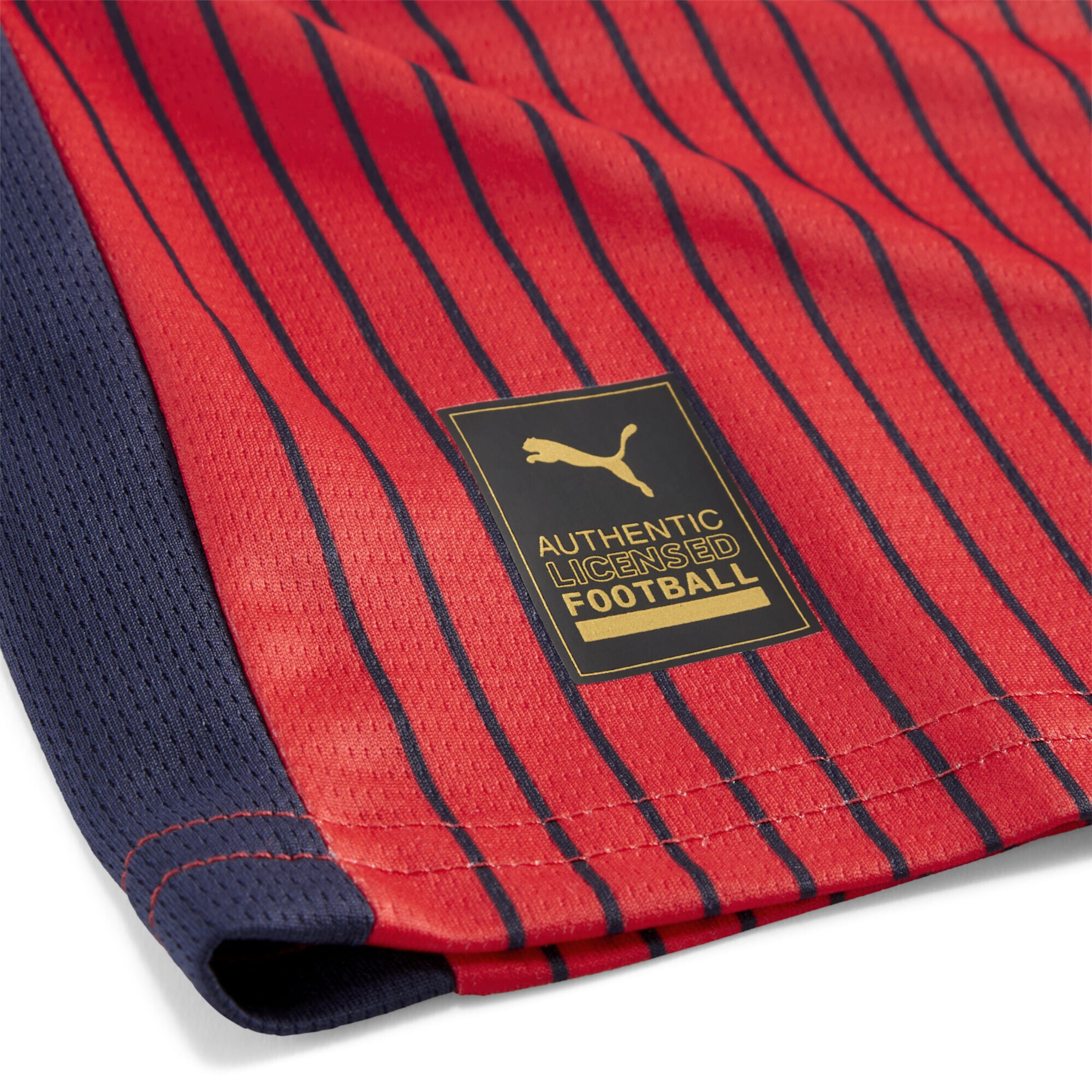 PUMA Functioneel shirt 'SK Rapid Wien 25/26' in Rood