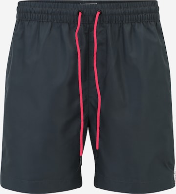 Calvin Klein Swimwear Board Shorts in Grey: front