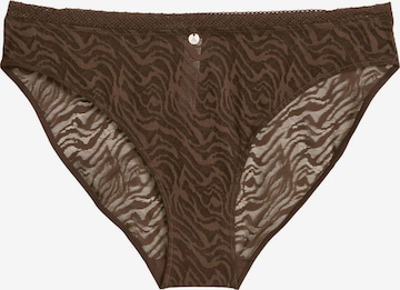 Marc O'Polo Panty ' Classic ' in Brown: front