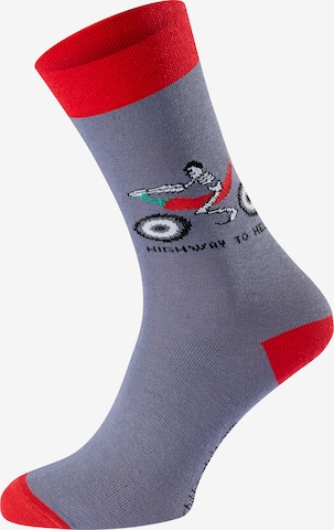 Chili Lifestyle Socks 'Banderole Leisure Socks' in Grey: front