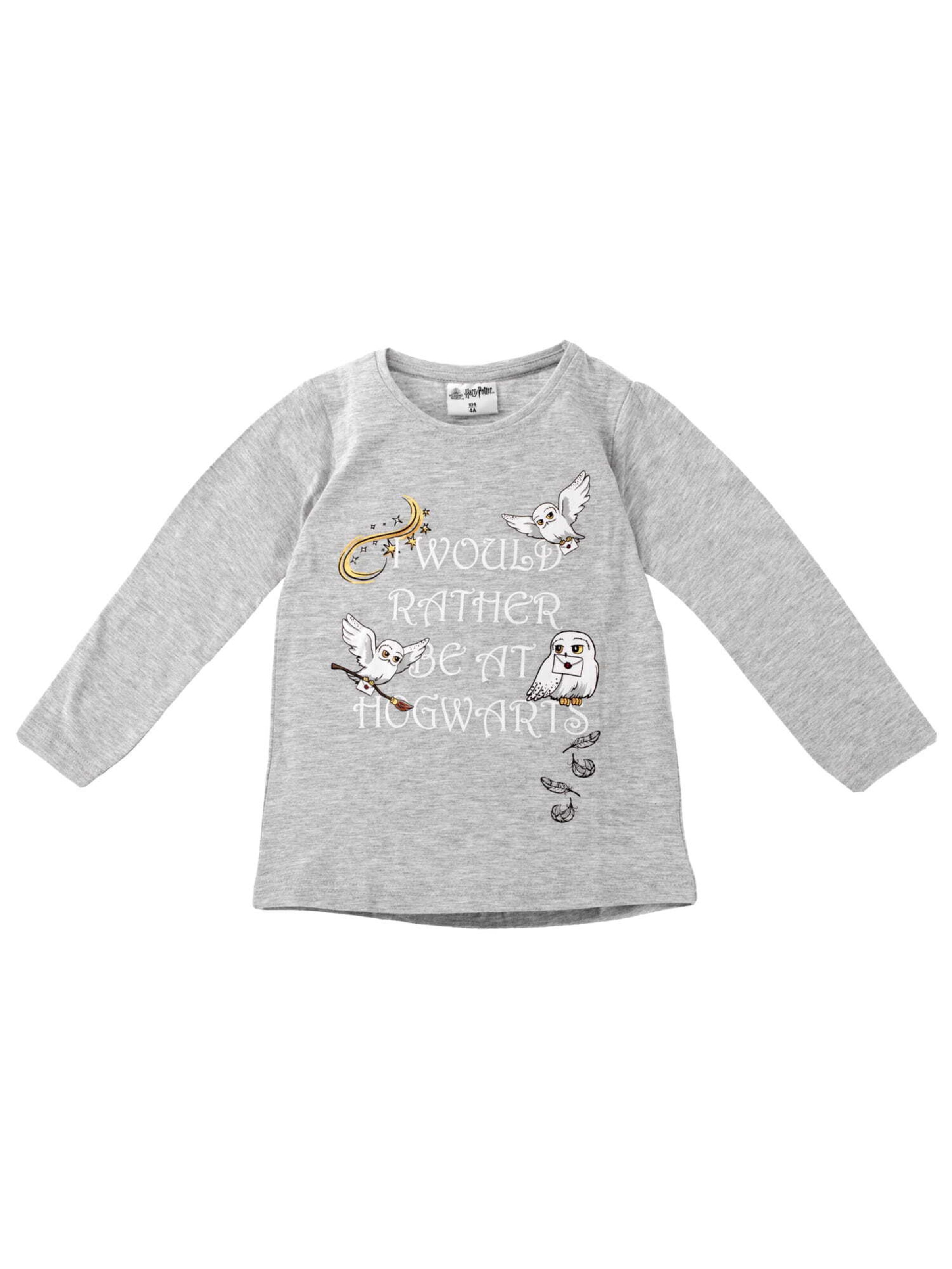 Warner Bros Shirt in Grey: front