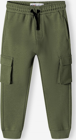 regular Pantaloni di MINOTI in verde: frontale