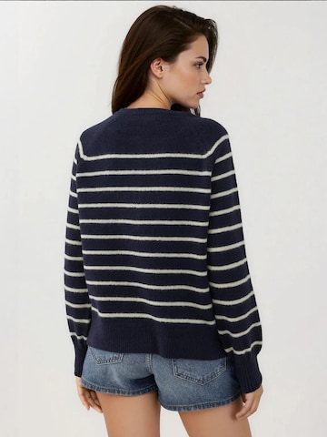 Hiccup Trui in Blauw