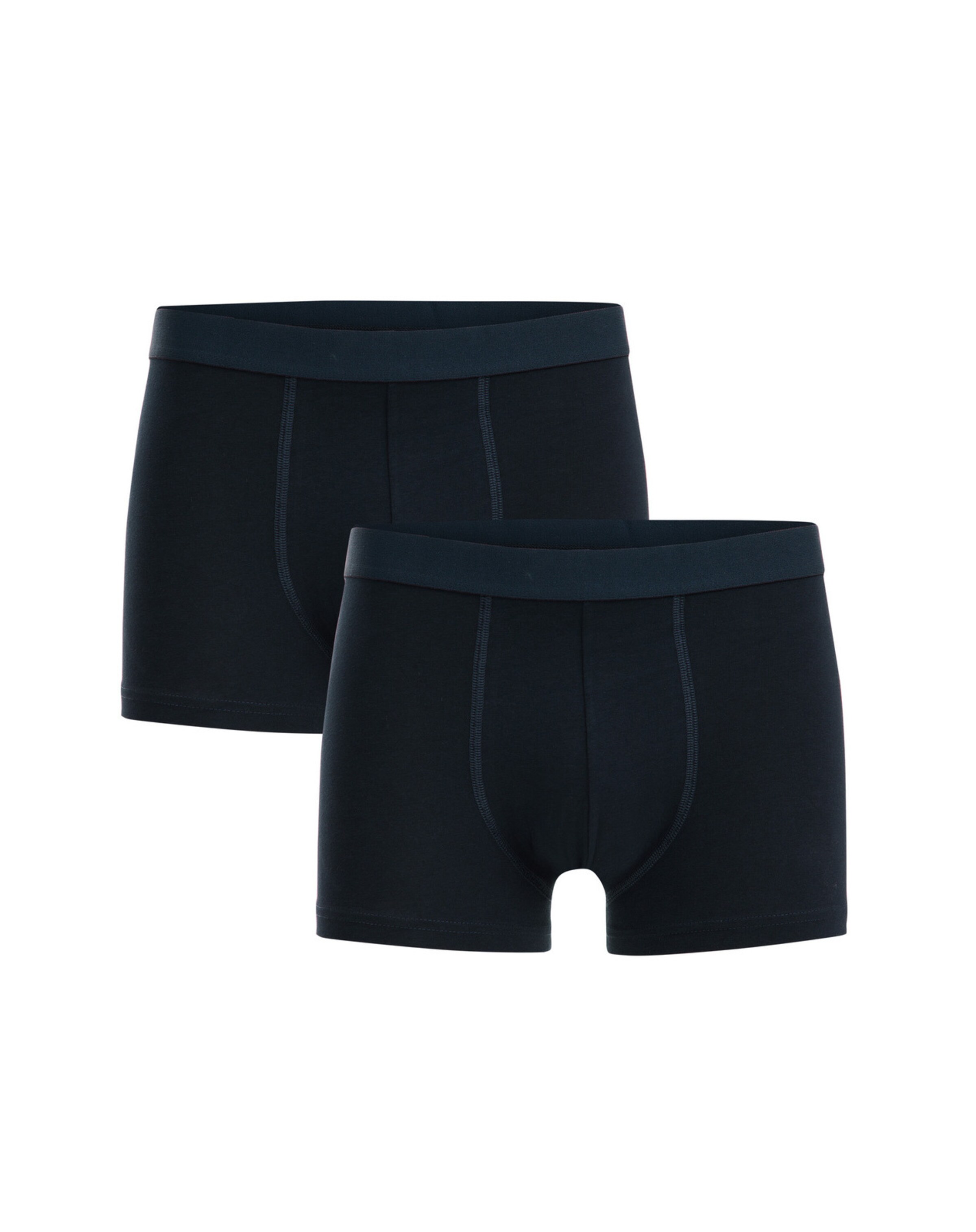 WE Fashion Boxer shorts in Blue: front
