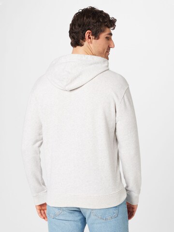 HOLLISTER Sweatshirt 'DOPAMINE' i grå