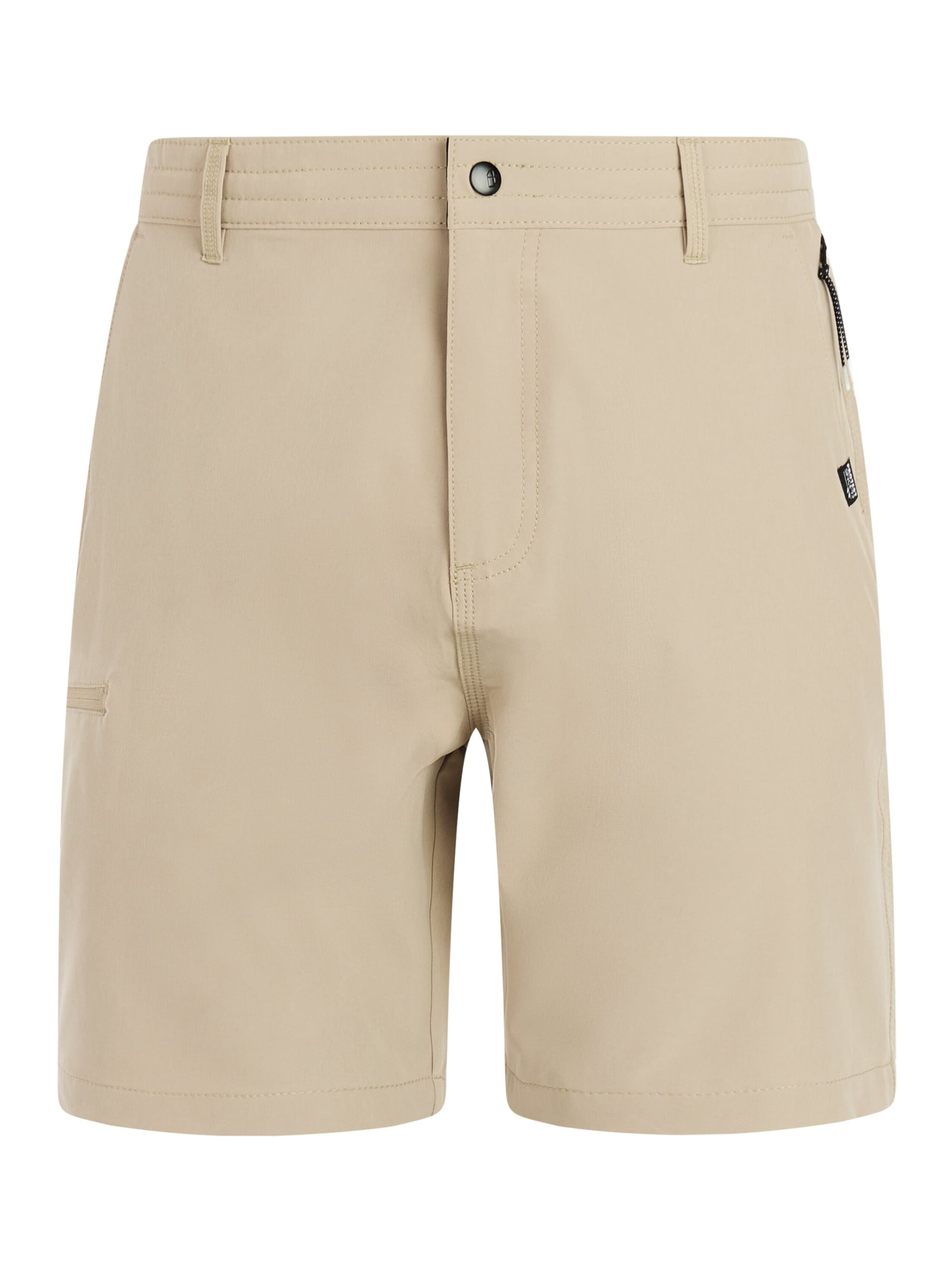 PROTEST Swimming shorts 'PRTRadcot' in Brown: front