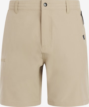 PROTEST Badeshorts 'PRTRadcot' in Braun: Vorderseite