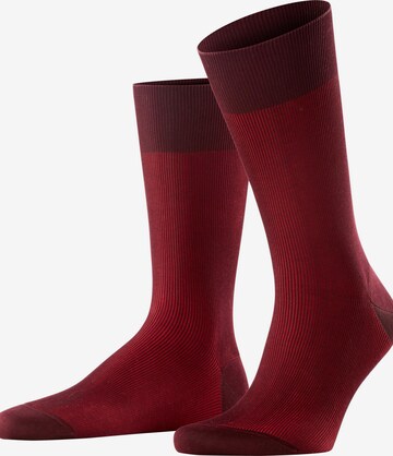 FALKE Socks 'Fine Shadow' in Red: front