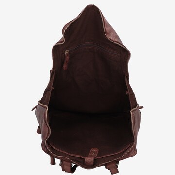 Harold's Backpack in Brown