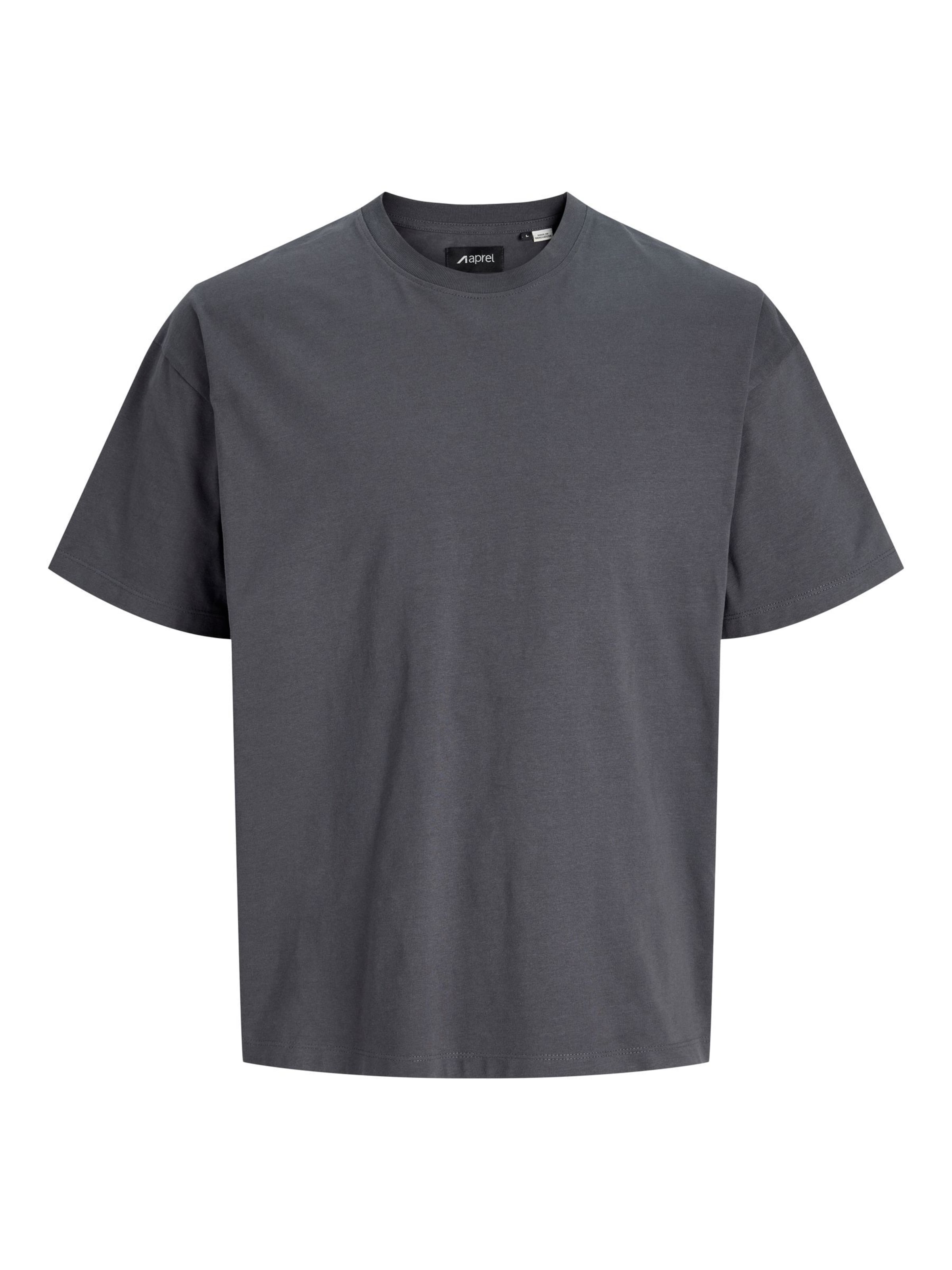 aprel Shirt in Grey: front