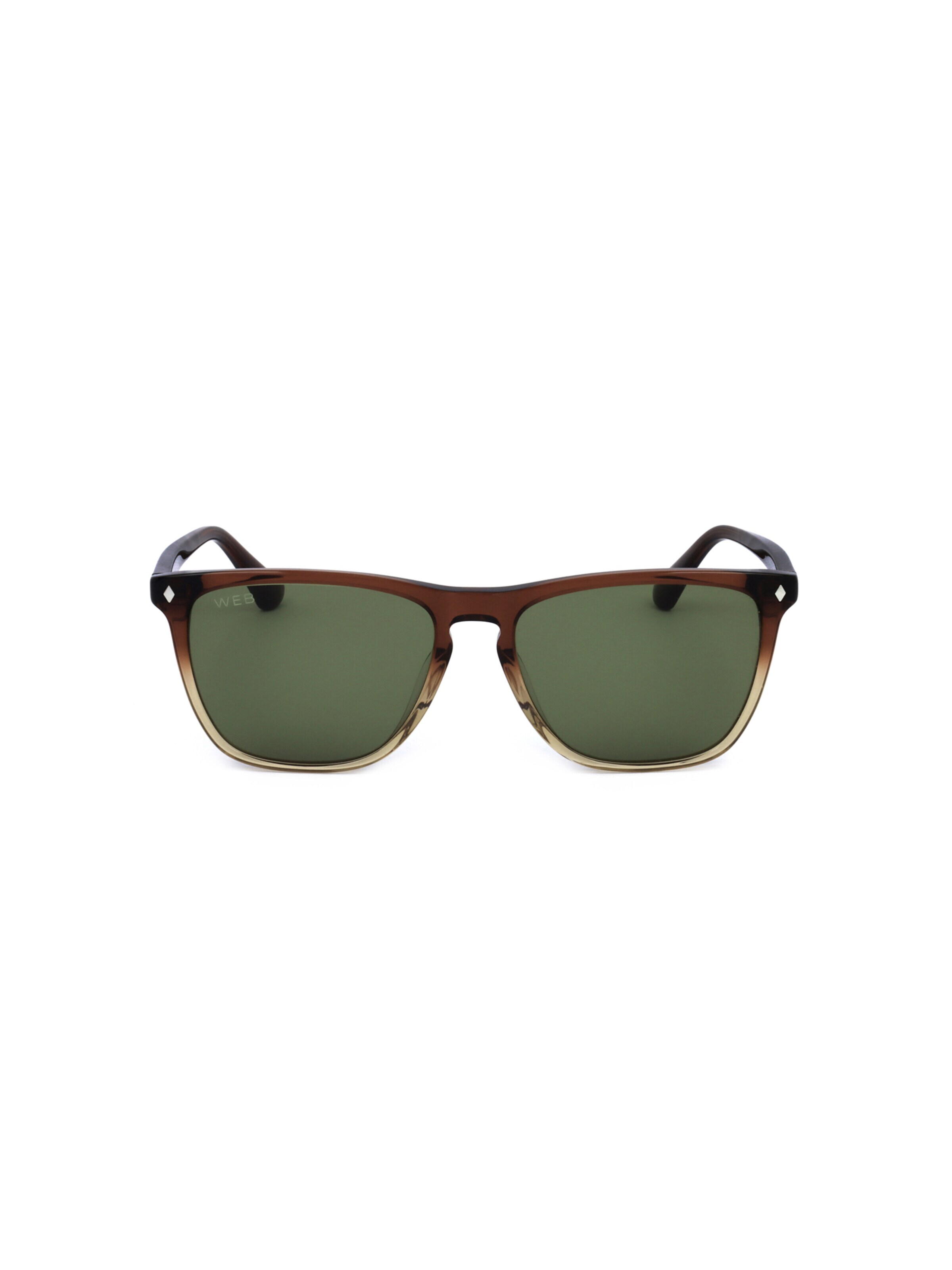 Occhiali da sole 'WE0363' di Web Eyewear in marrone