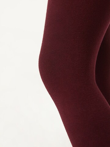 CALZEDONIA Tights in Red