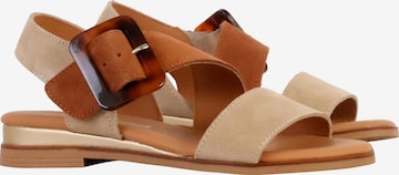 Sandalo di The Divine Factory in marrone: frontale