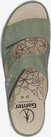 Ganter Mules in Green