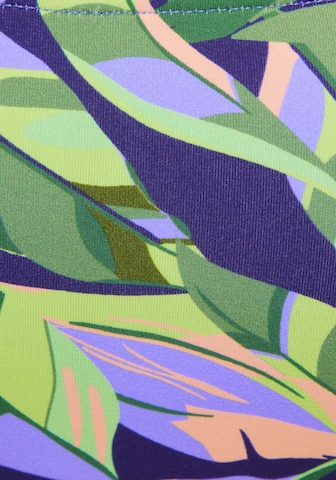 s.Oliver Bustier Bikinitop in Grün