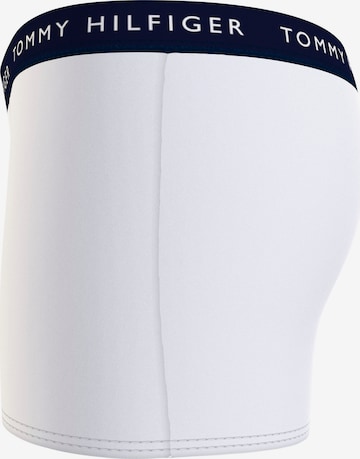 Tommy Hilfiger Underwear Underpants in Mixed colors