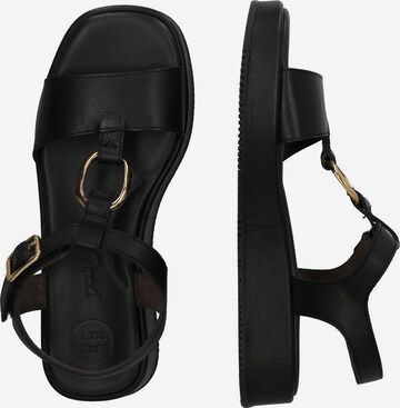 Paul Green Sandal in Black