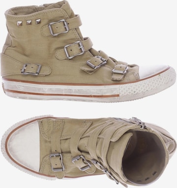 ASH Sneaker 37 in Beige: predná strana