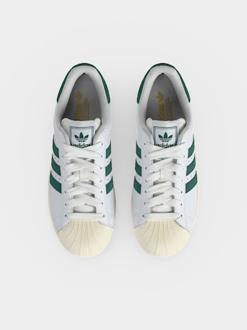 ADIDAS ORIGINALS Σνίκερ χαμηλό 'SUPERSTAR II' σε λευκό