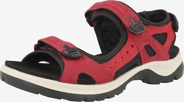 Sandalo da trekking 'Offroad' di ECCO in rosso: frontale